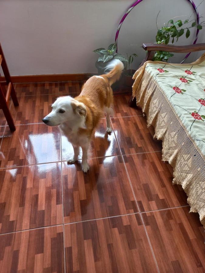 Quarto Individual Na Ary Parreiras Niterói Zewnętrze zdjęcie